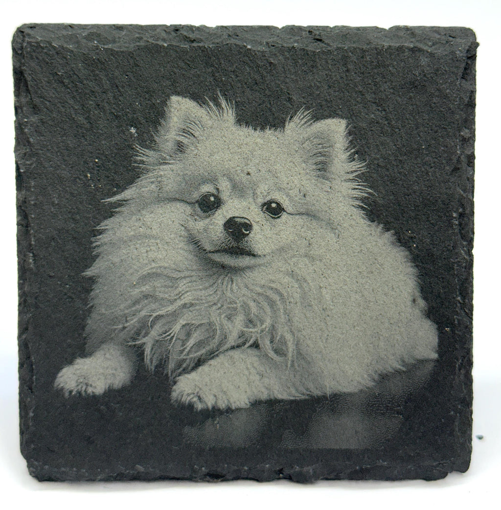 Pomeranian Laser Engraved Slate Coaster Set of 4