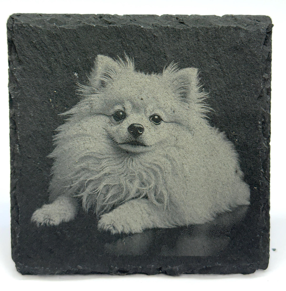 Pomeranian Laser Engraved Slate Coaster Set of 4