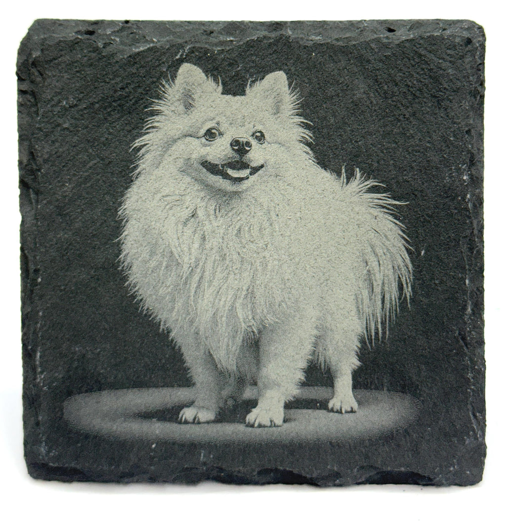 Pomeranian Laser Engraved Slate Coaster Set of 4