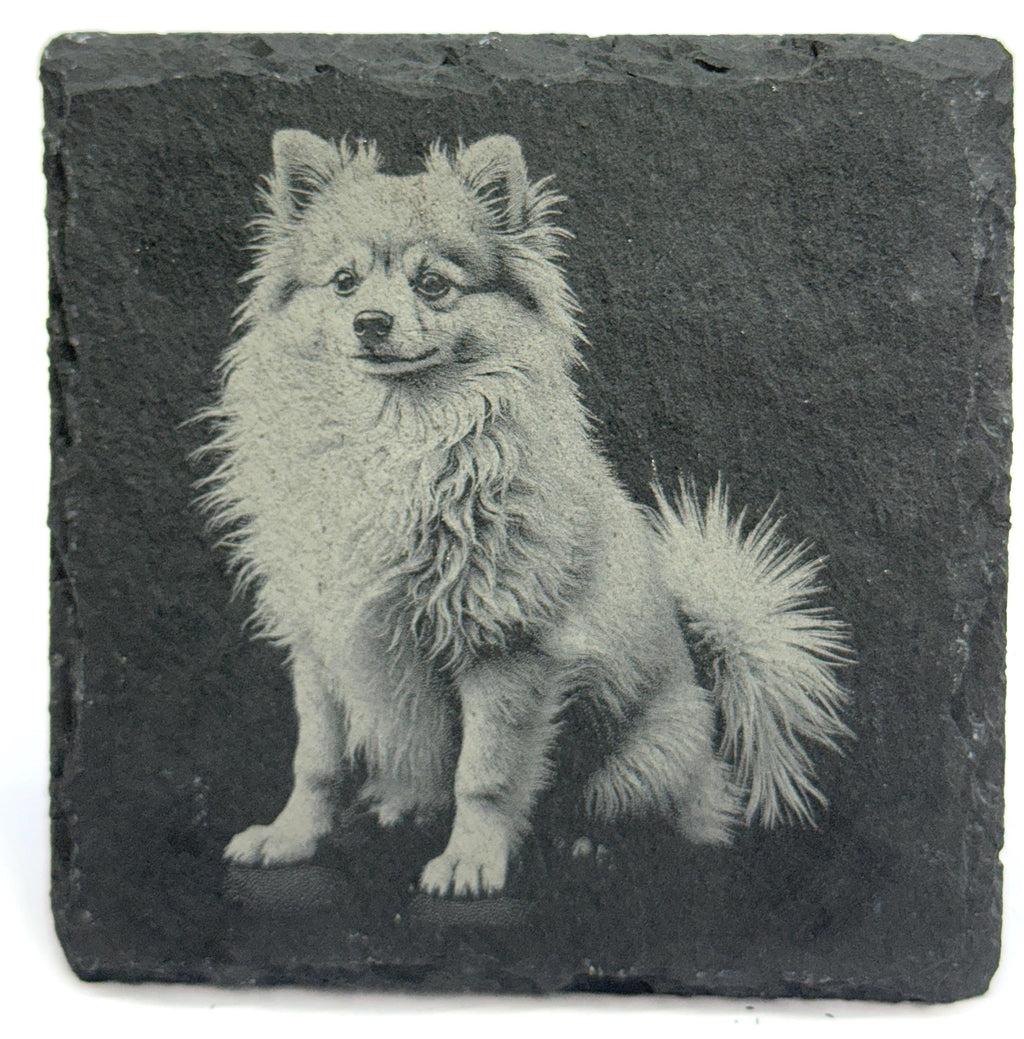 Pomeranian Laser Engraved Slate Coaster Set of 4