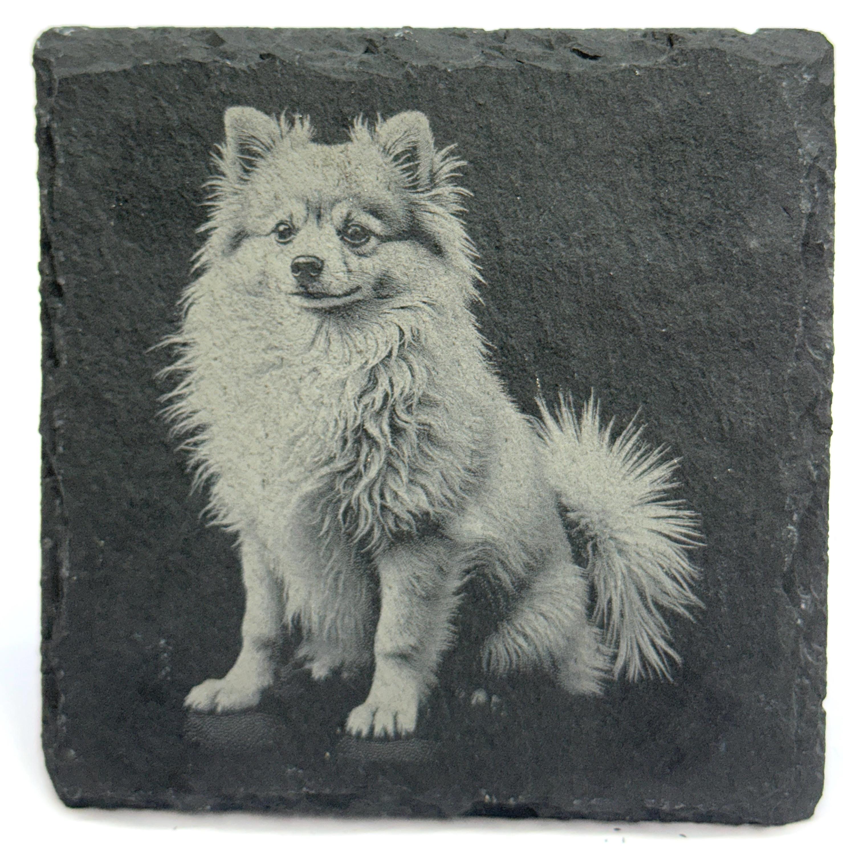 Pomeranian Laser Engraved Slate Coaster Set of 4