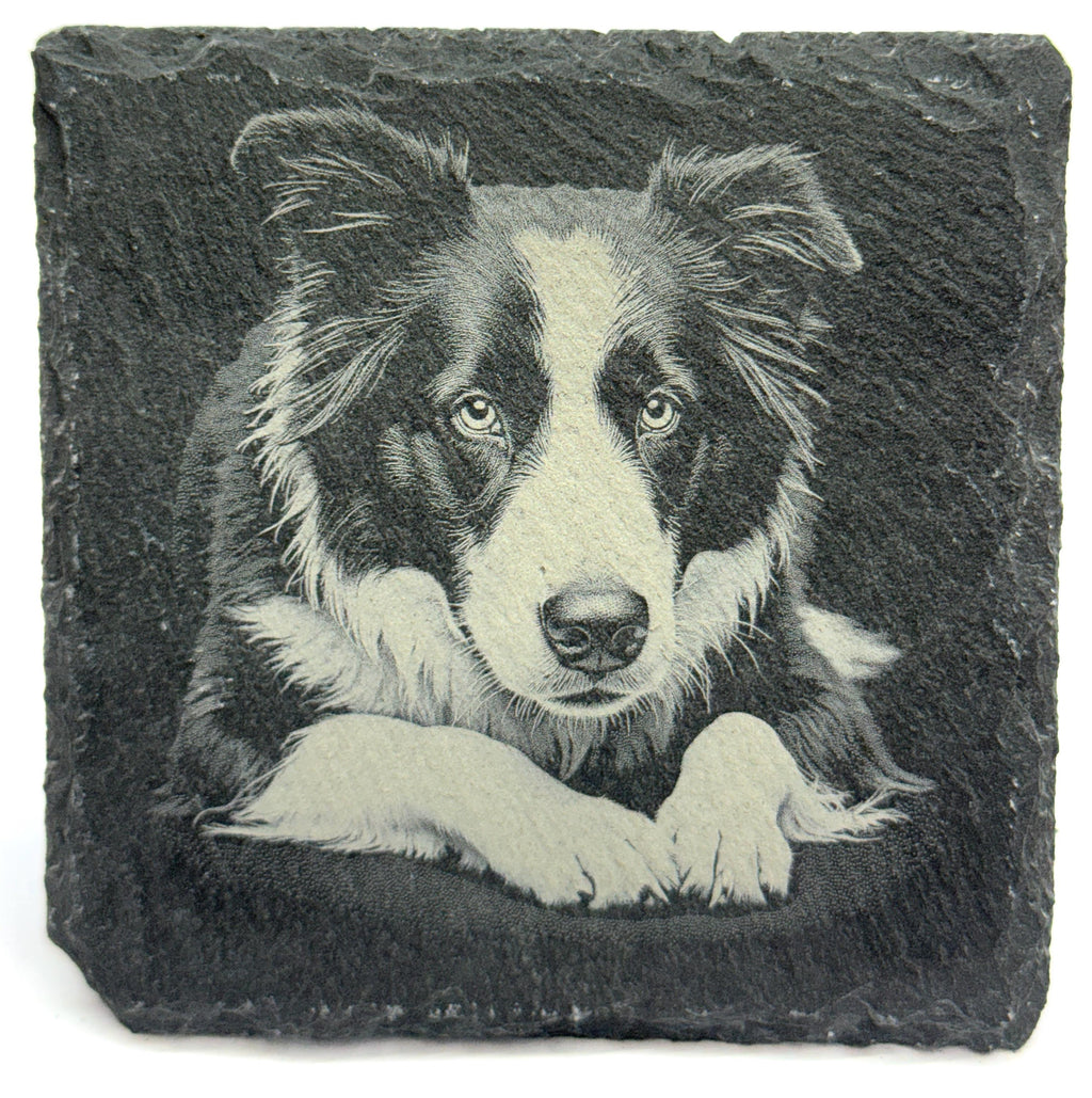 Border Collie Laser Engraved Slate Coaster Set of 4