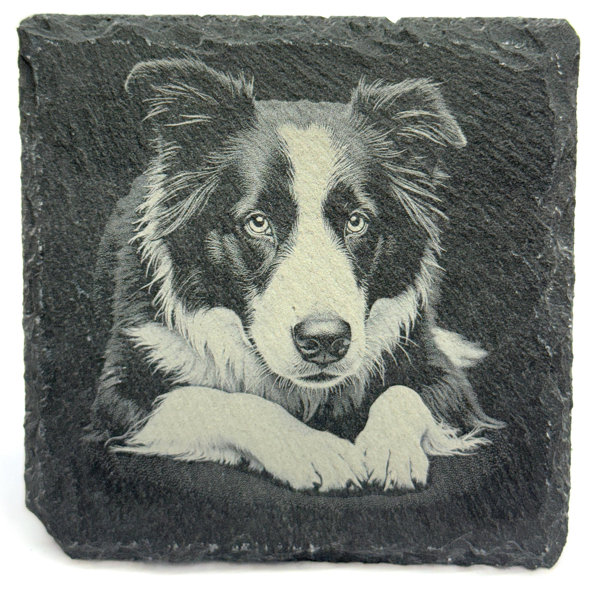 Border Collie Laser Engraved Slate Coaster Set of 4