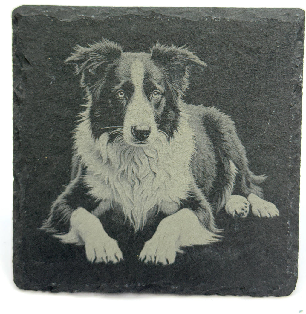 Border Collie Laser Engraved Slate Coaster Set of 4