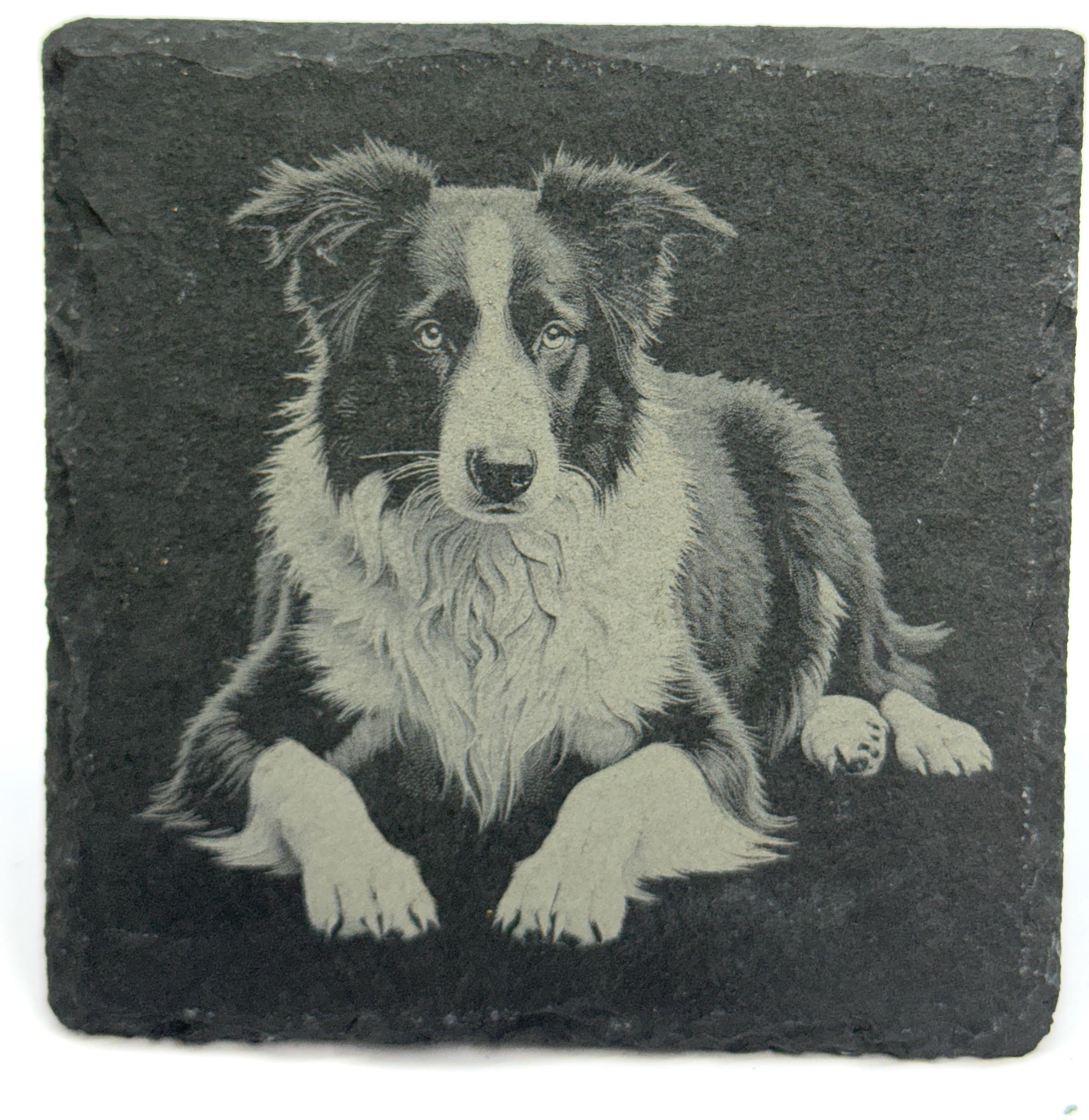 Border Collie Laser Engraved Slate Coaster Set of 4