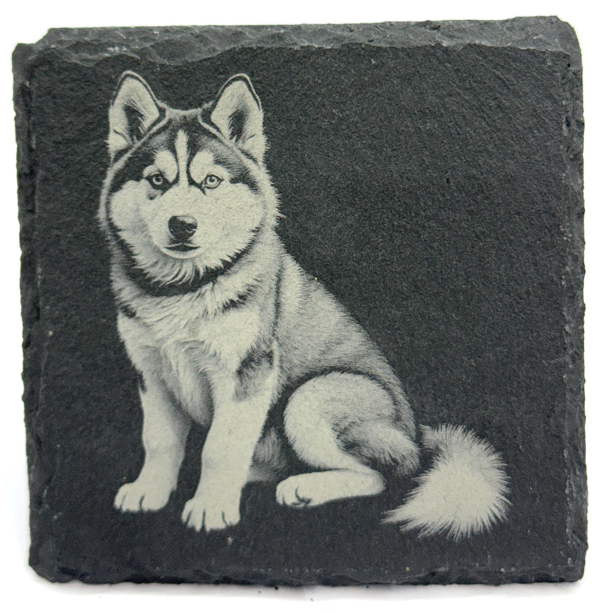 Husky Laser Engraved Slate Coaster Set of 4