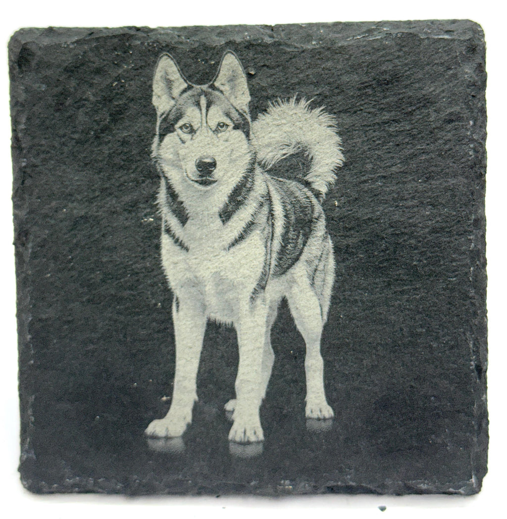 Husky Laser Engraved Slate Coaster Set of 4