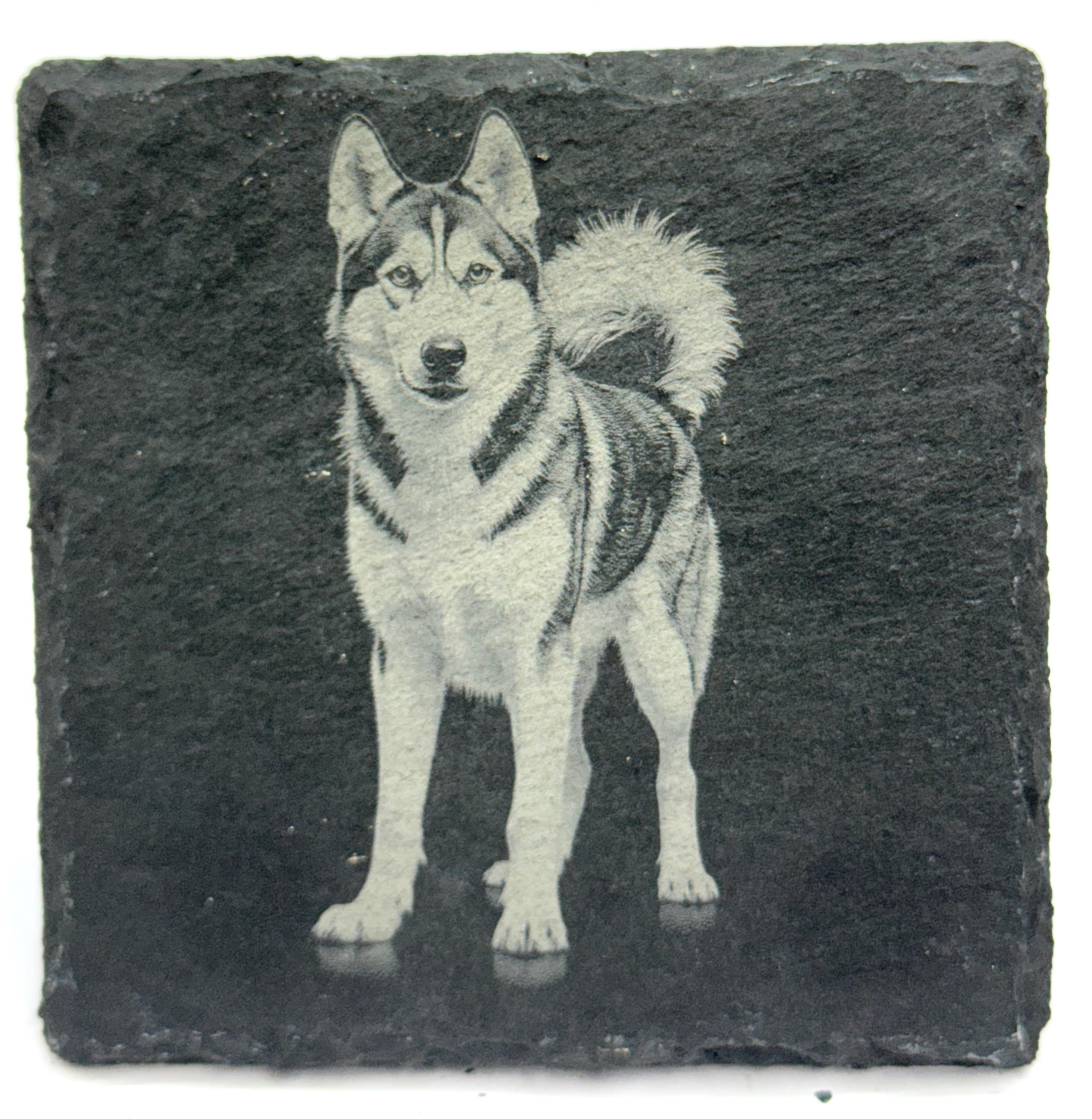 Husky Laser Engraved Slate Coaster Set of 4