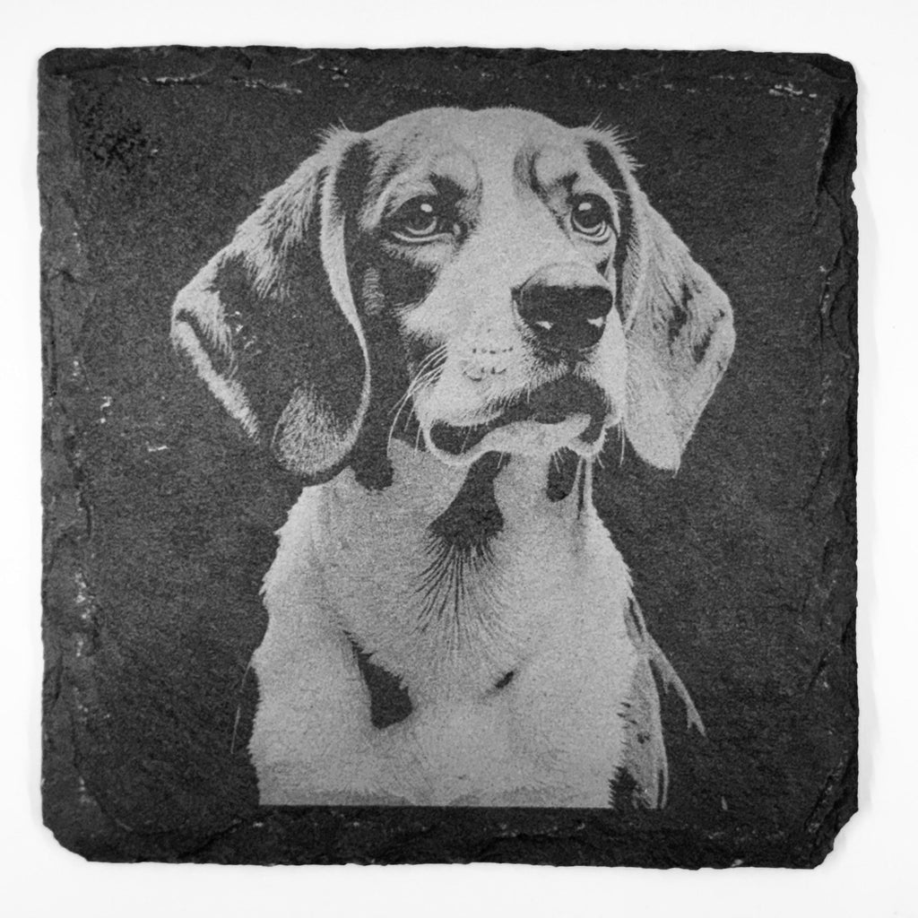 Beagle Slate Coaster Set – Curious Hound Dog Art (Set of 4)