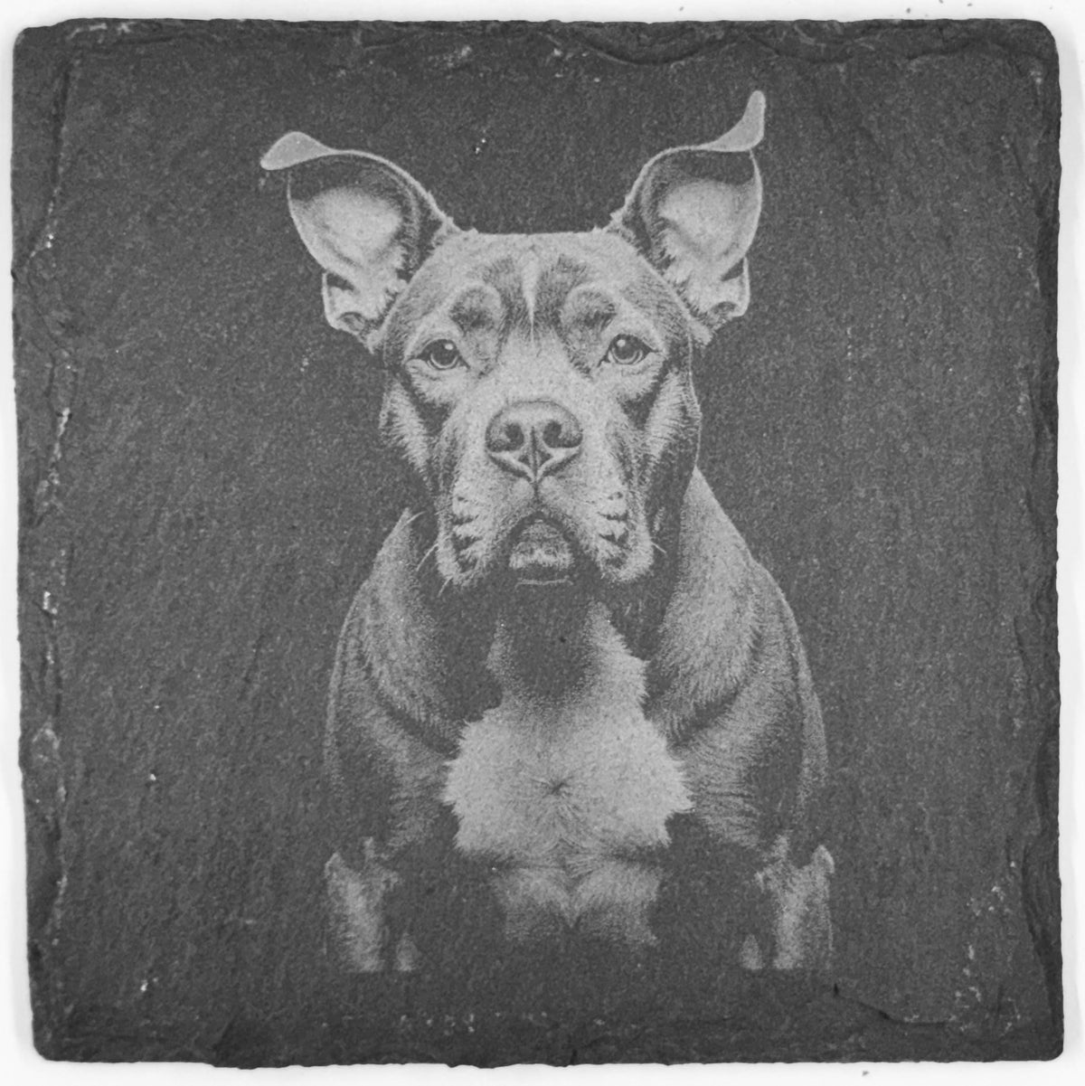 American Bulldog Slate Coaster Set – Strong Loyal Dog Art (Set of 4)