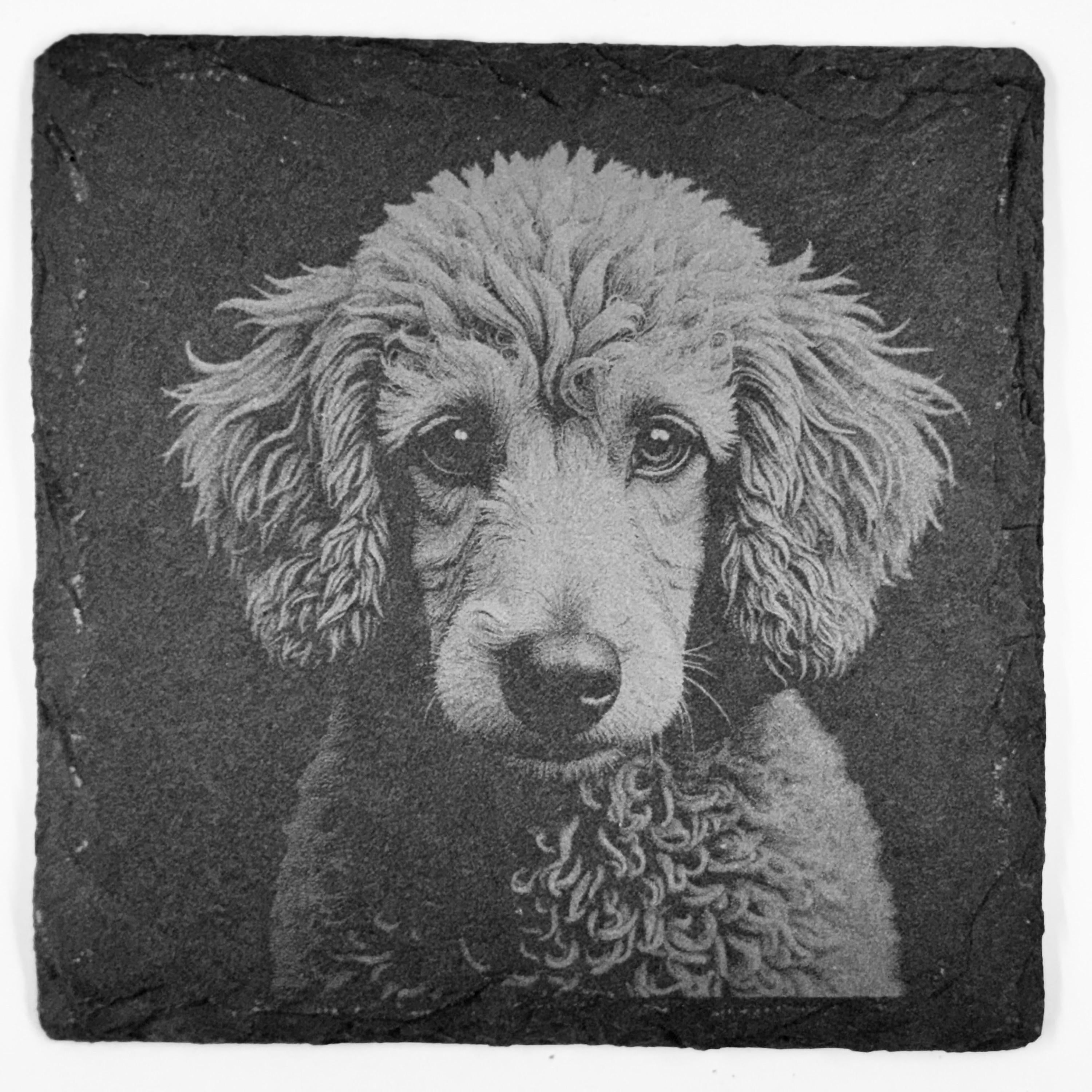 Poodle Slate Coaster Set – Elegant Curly Dog Art (Set of 4)