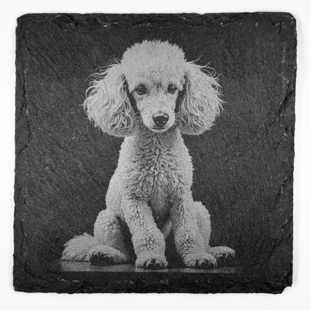 Poodle Slate Coaster Set – Elegant Curly Dog Art (Set of 4)
