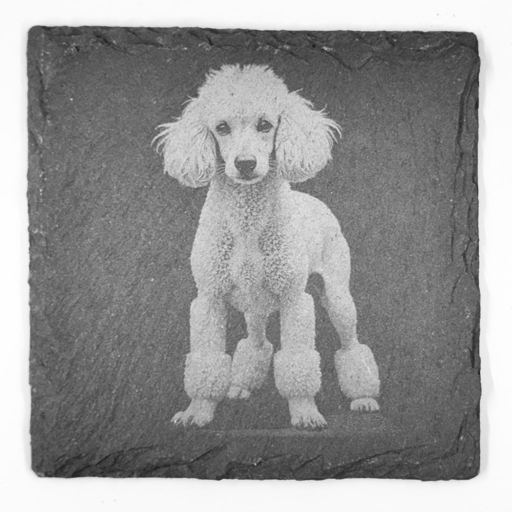 Poodle Slate Coaster Set – Elegant Curly Dog Art (Set of 4)