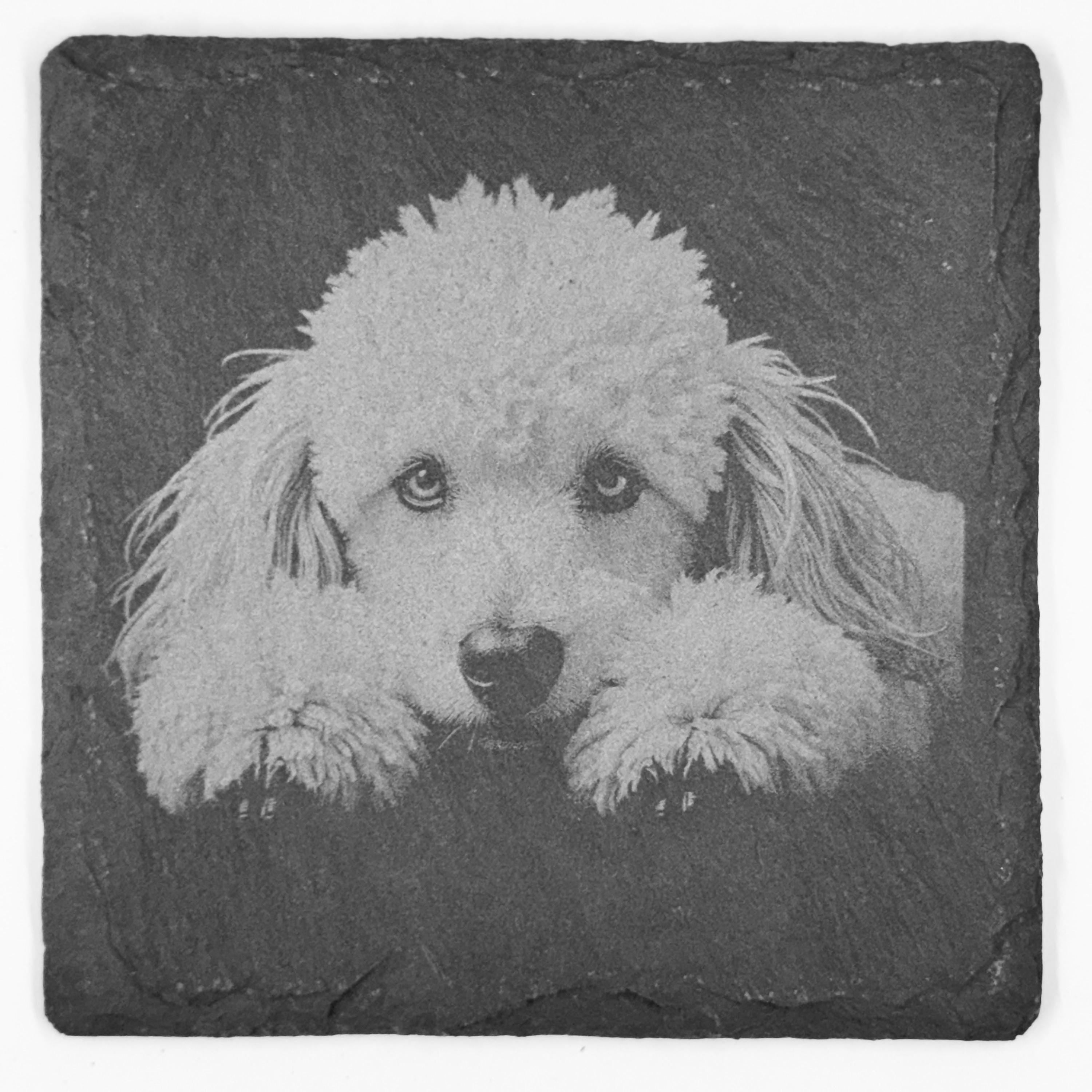 Poodle Slate Coaster Set – Elegant Curly Dog Art (Set of 4)