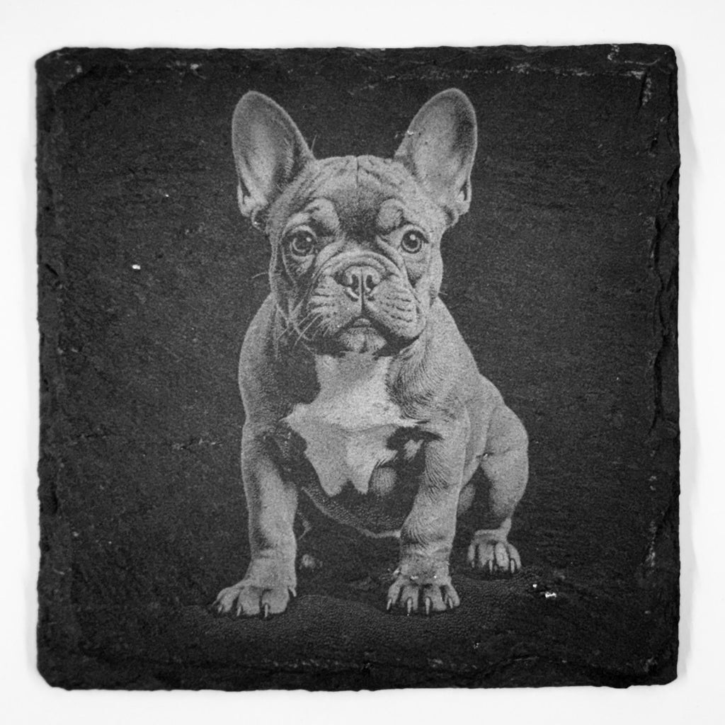 French Bulldog Slate Coaster Set – Cute Frenchie Dog Art (Set of 4)