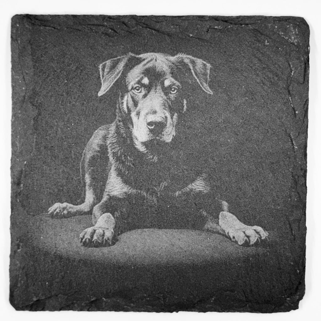 Rottweiler Slate Coaster Set – Loyal Guardian Dog Art (Set of 4)