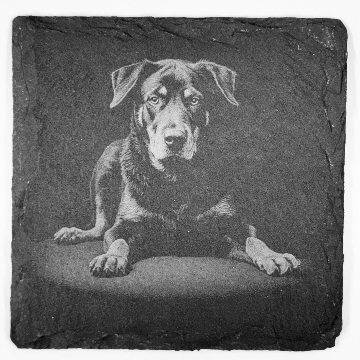 Rottweiler Slate Coaster Set – Loyal Guardian Dog Art (Set of 4)