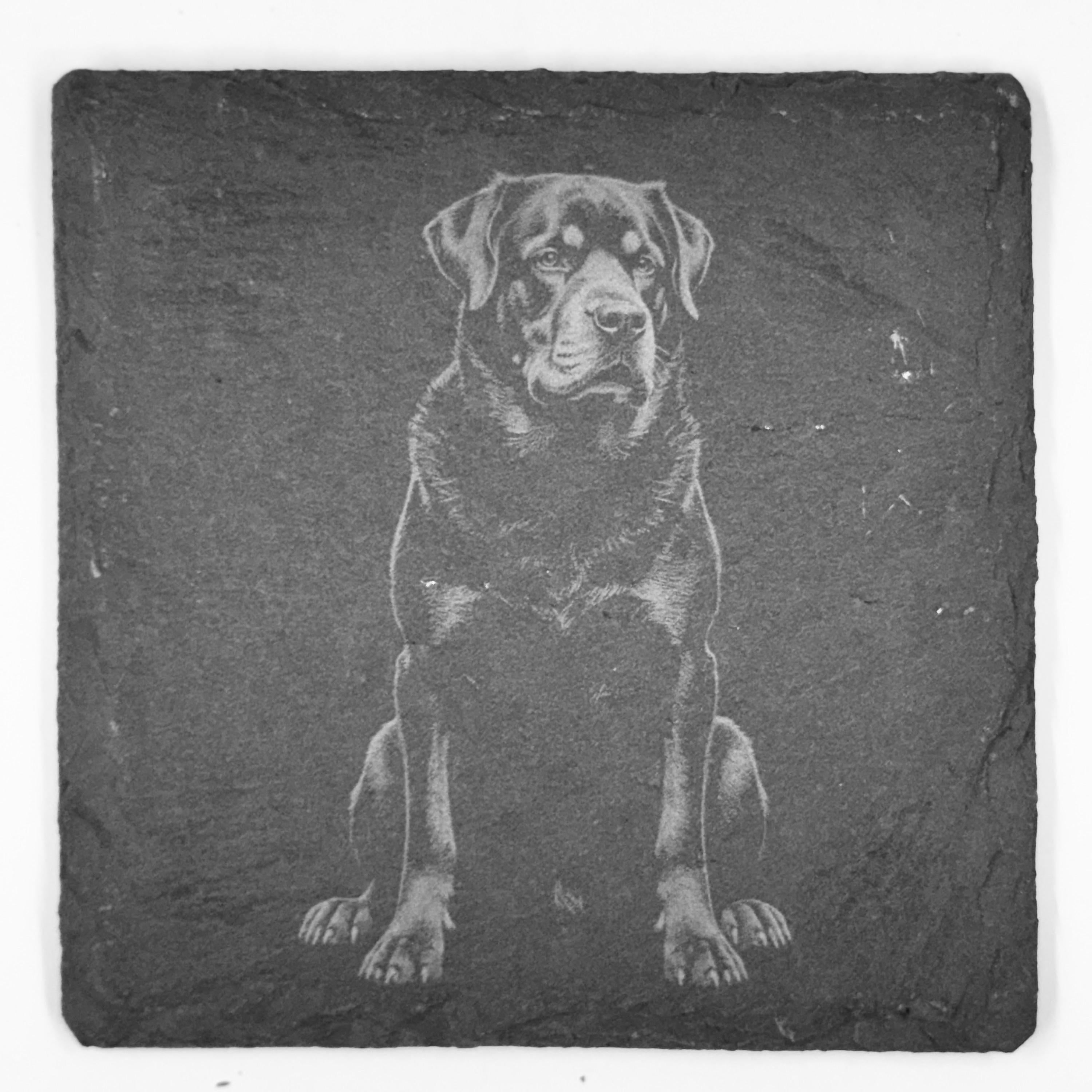 Rottweiler Slate Coaster Set – Loyal Guardian Dog Art (Set of 4)