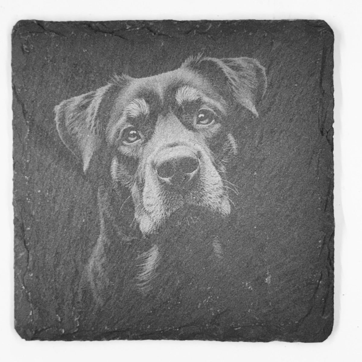 Rottweiler Slate Coaster Set – Loyal Guardian Dog Art (Set of 4)