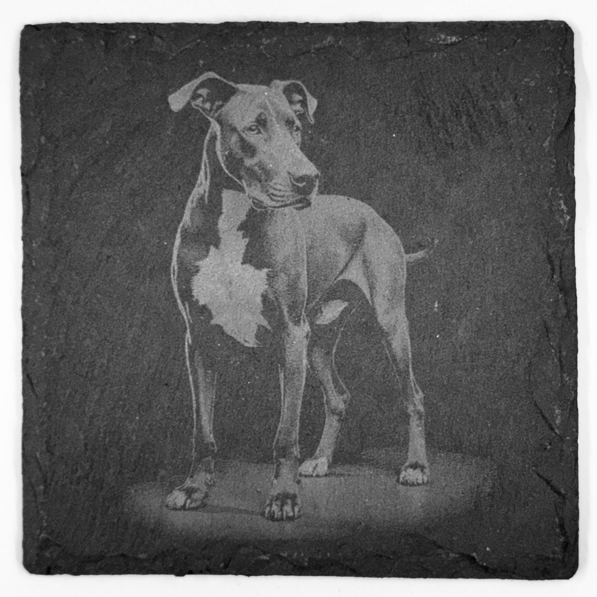 Great Dane Slate Coaster Set – Gentle Giant Dog Art (Set of 4)