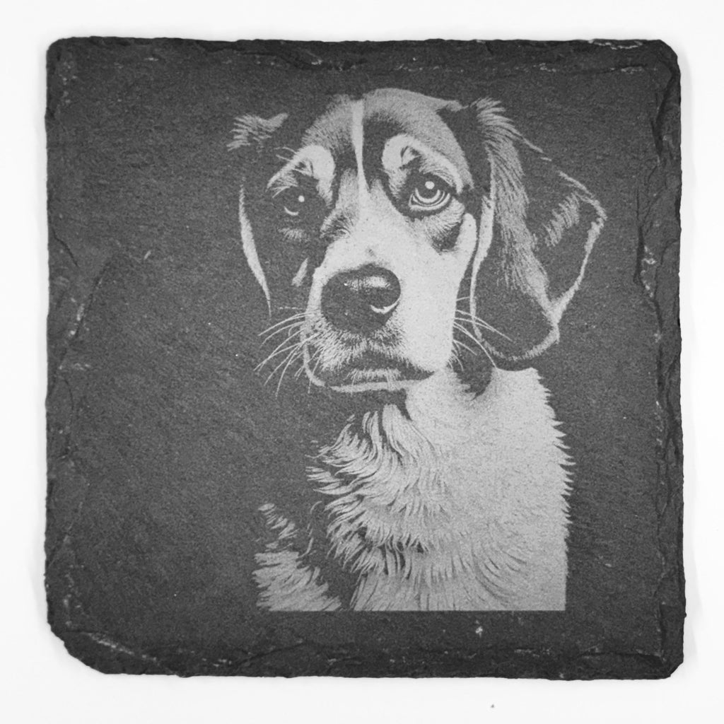 Beagle Slate Coaster Set – Curious Hound Dog Art (Set of 4)