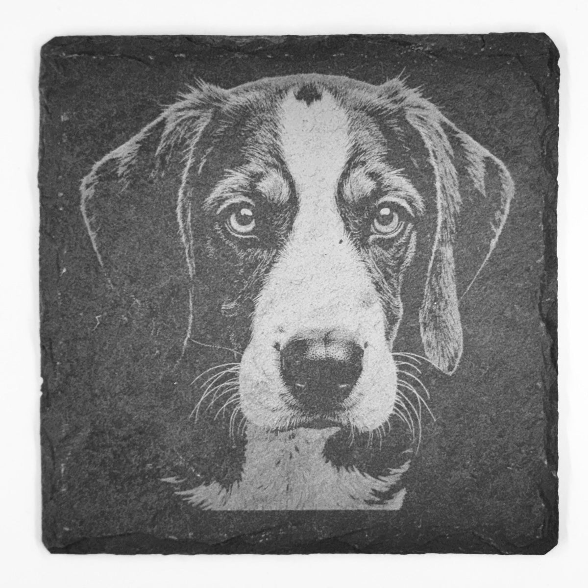 Beagle Slate Coaster Set – Curious Hound Dog Art (Set of 4)