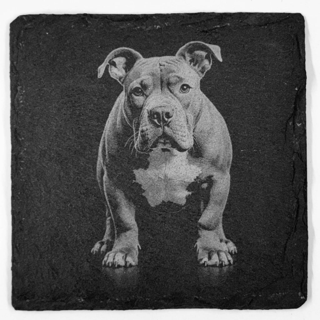 American Bulldog Slate Coaster Set – Strong Loyal Dog Art (Set of 4)