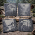 Bald Eagle Wildlife and Nature Set of 4 Laser Engraved Slate Drink Coasters