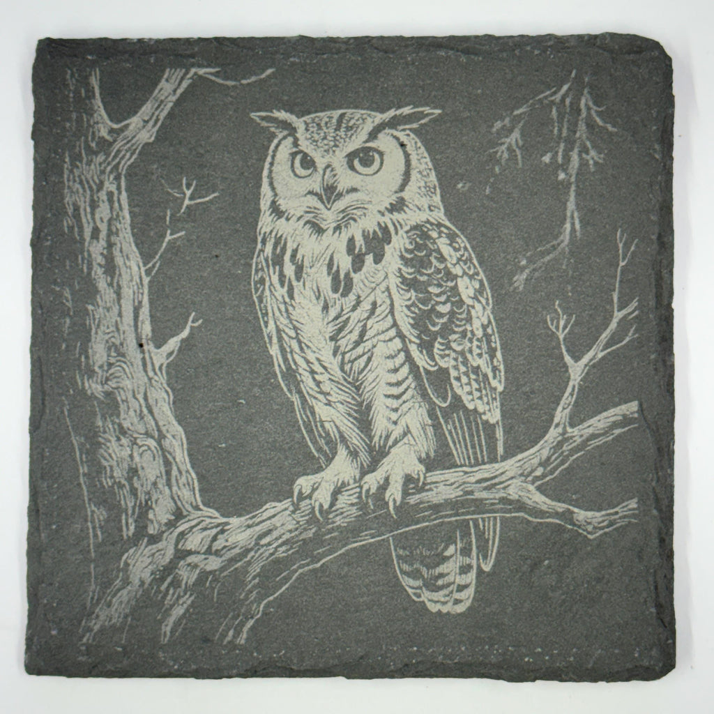 Woodland Wildlife Coasters – Set of 4 Calm Forest Scenes on Natural Slate