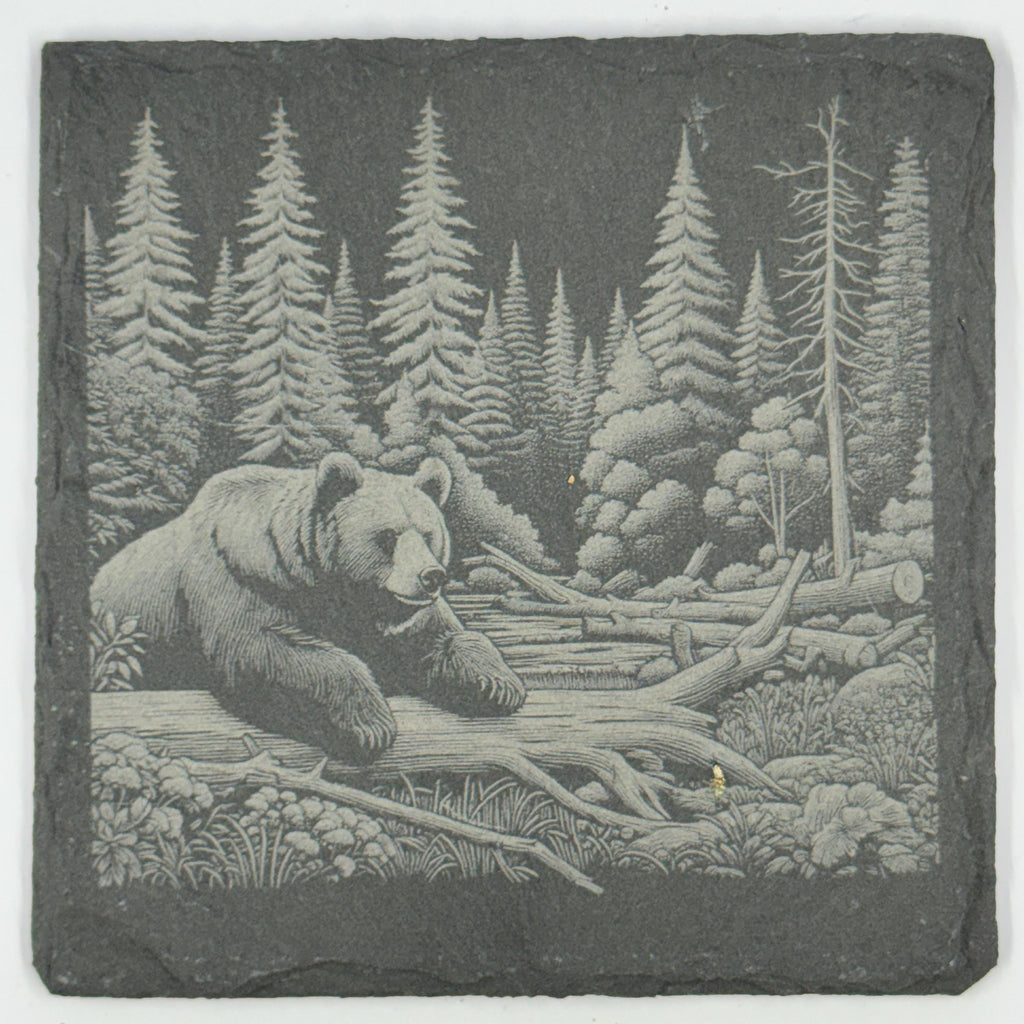 Woodland Wildlife Coasters – Set of 4 Calm Forest Scenes on Natural Slate