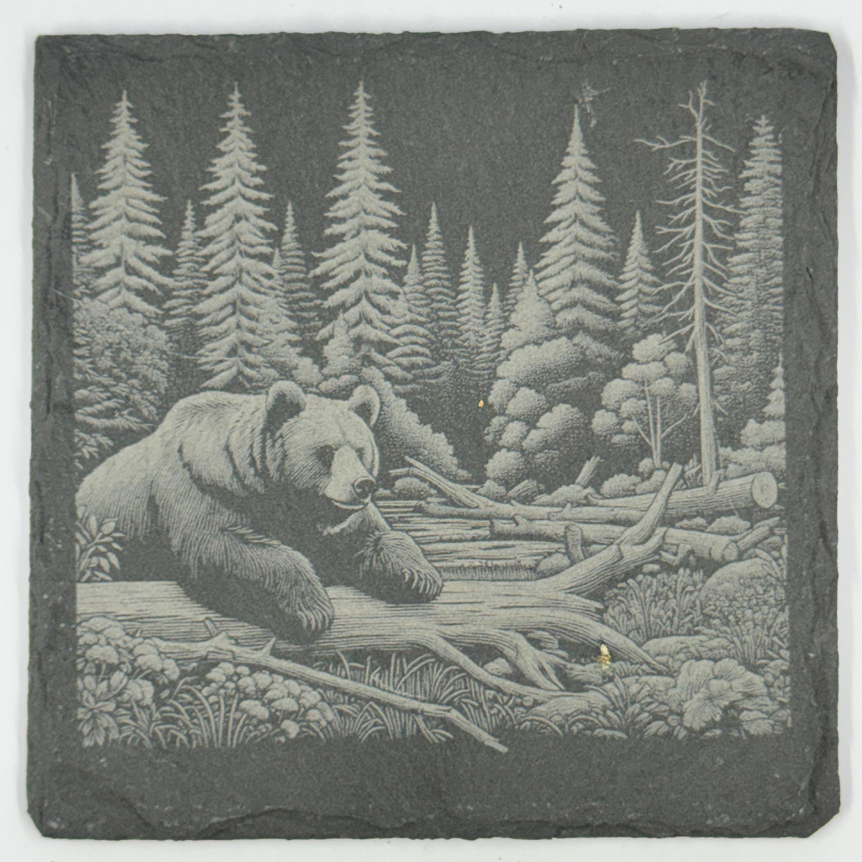 Woodland Wildlife Coasters – Set of 4 Calm Forest Scenes on Natural Slate