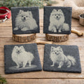 Pomeranian Laser Engraved Slate Coaster Set of 4