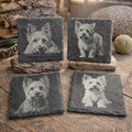 Yorkshire Terrier Engraved Slate Coaster Set of 4