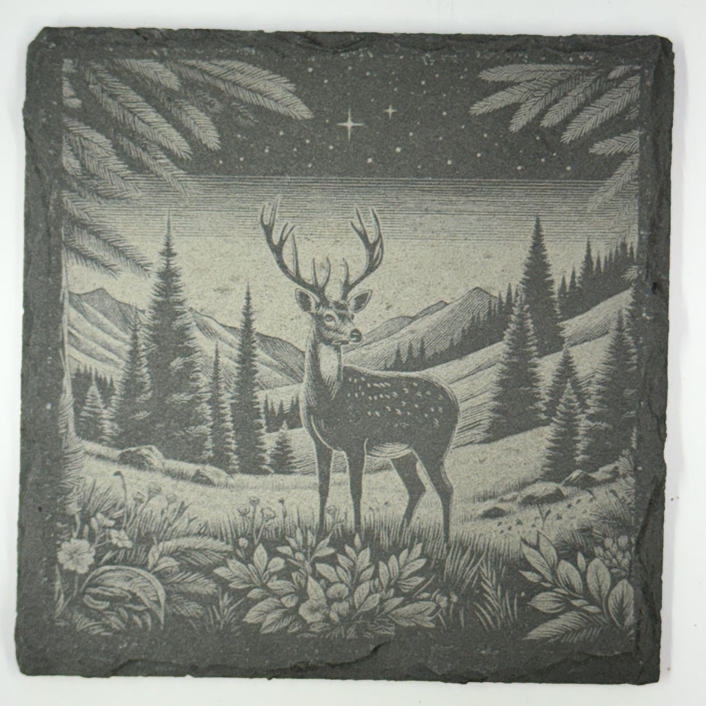 Woodland Wildlife Coasters – Set of 4 Calm Forest Scenes on Natural Slate