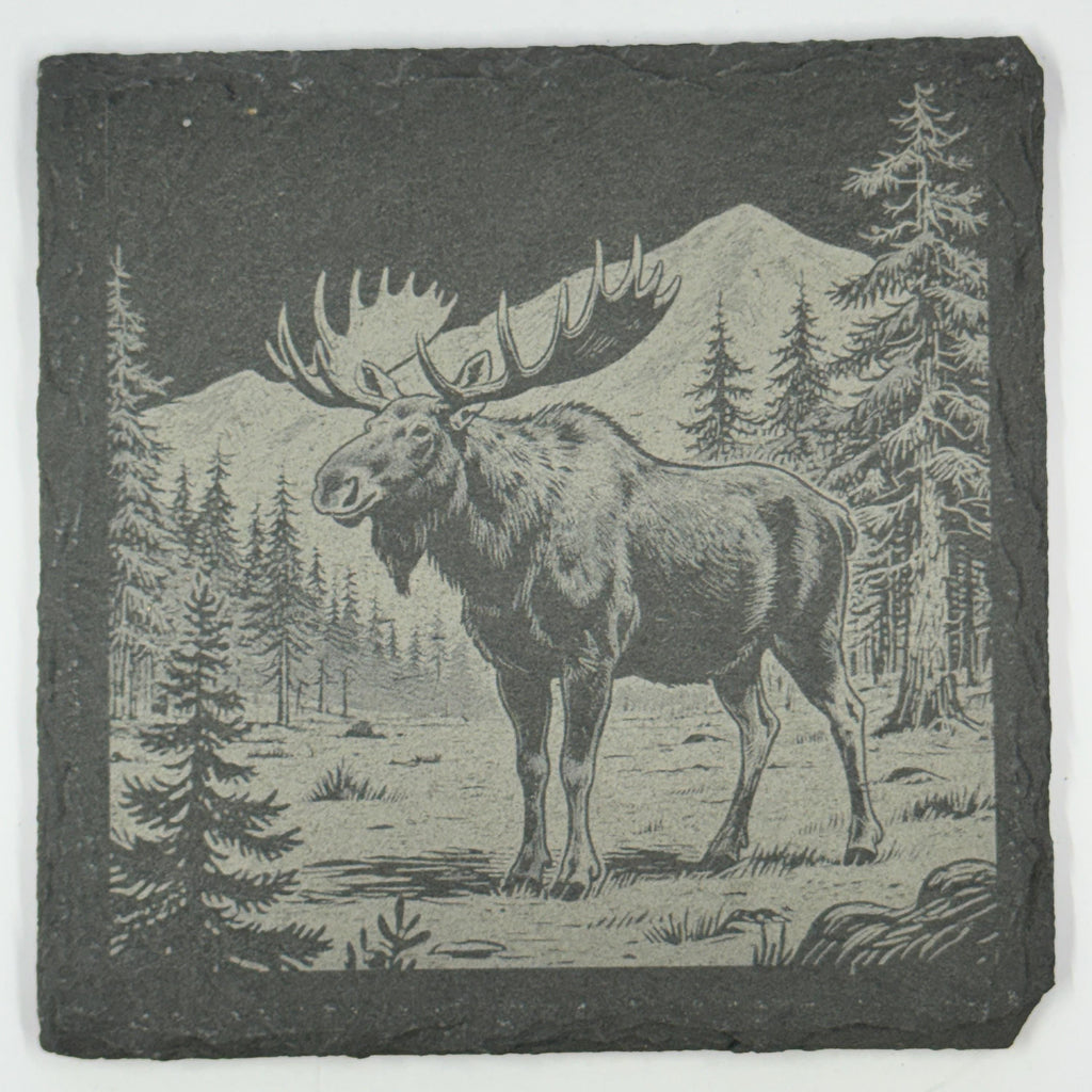 Woodland Wildlife Coasters – Set of 4 Calm Forest Scenes on Natural Slate