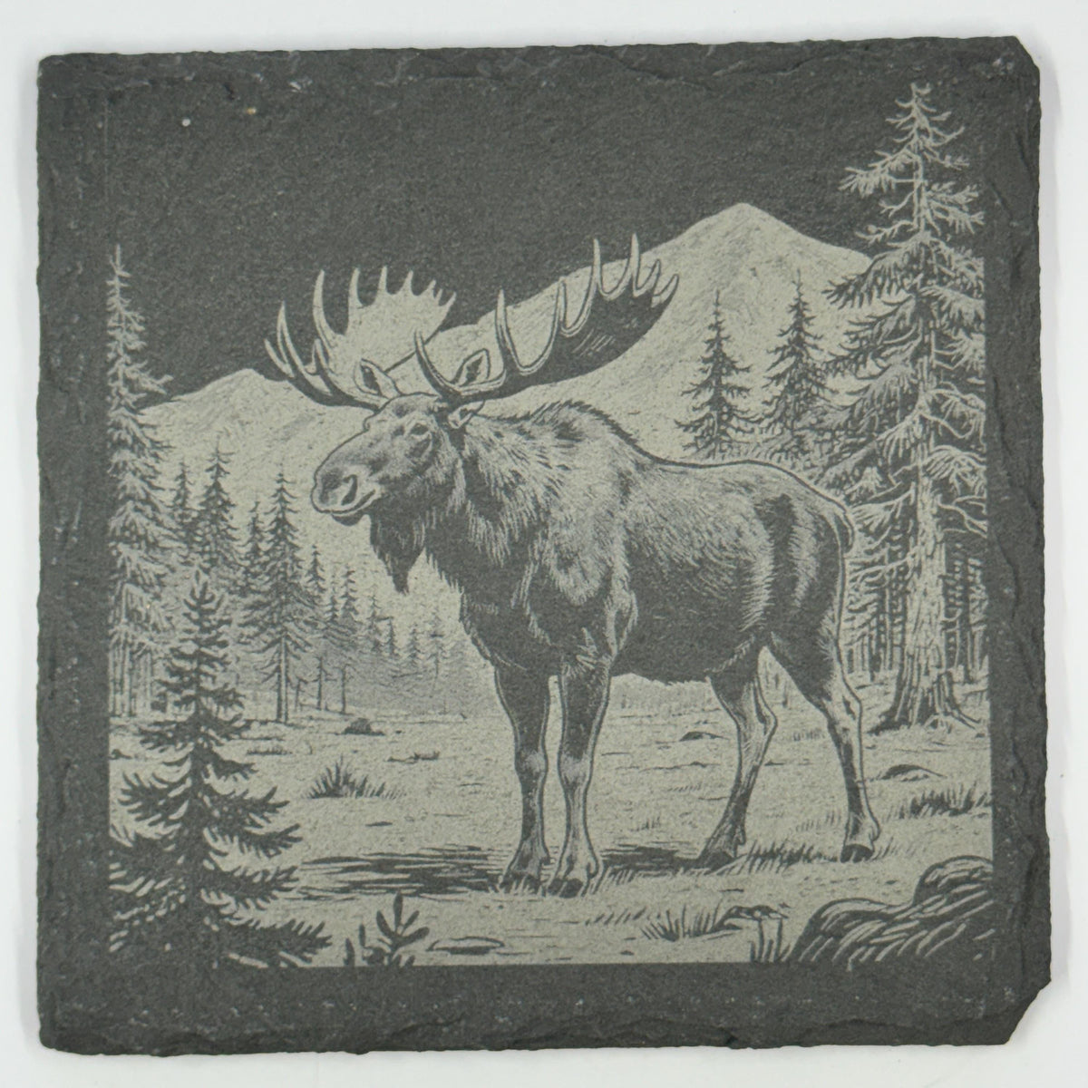 Woodland Wildlife Coasters – Set of 4 Calm Forest Scenes on Natural Slate