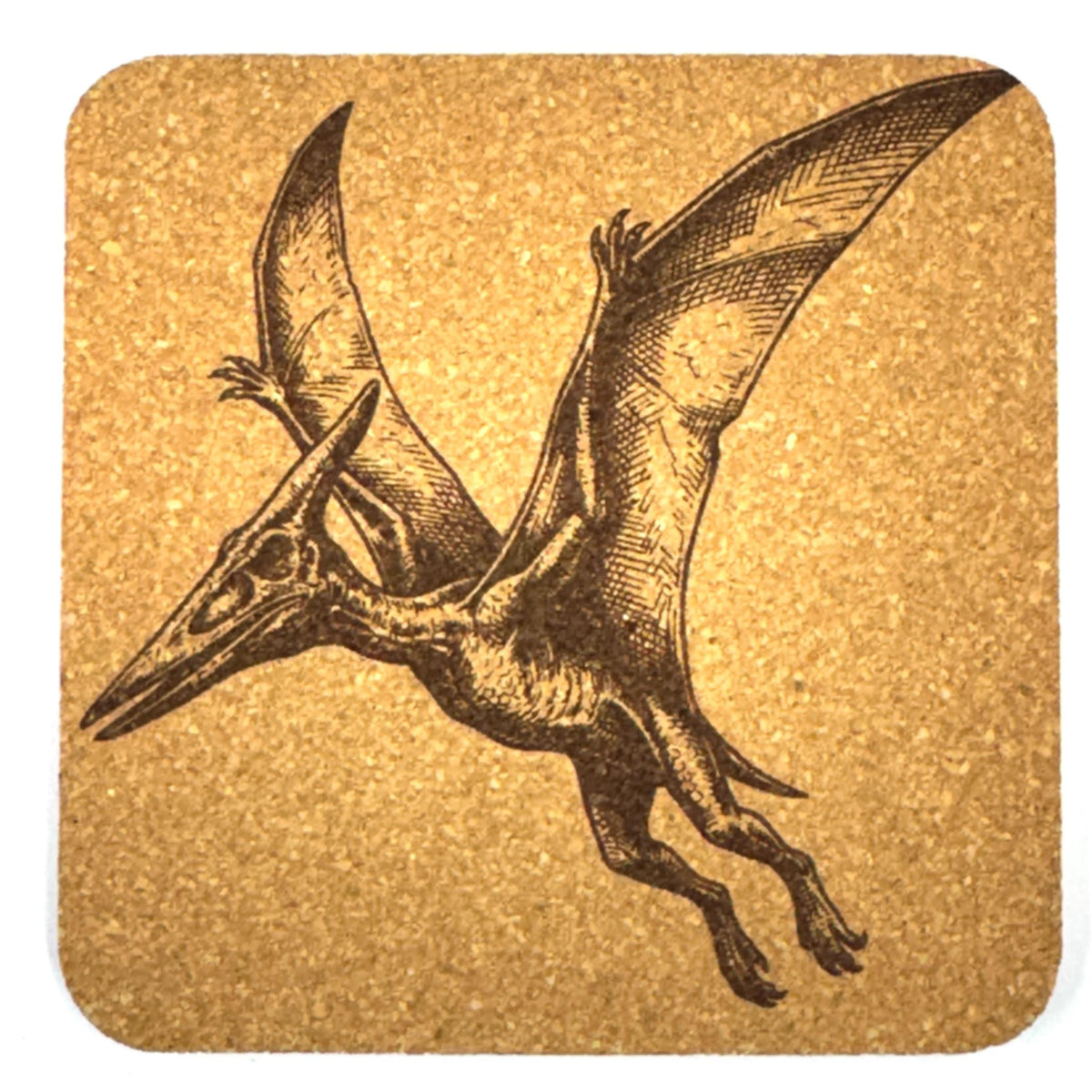 Dinosaur Cork Coaster Set, Vintage Prehistoric Creature Drink Coasters