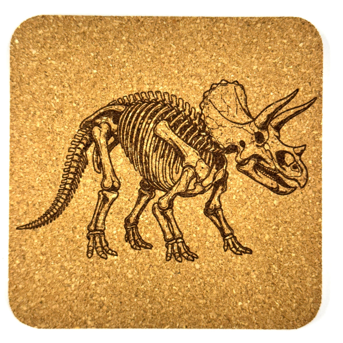 Dinosaur Skeleton Cork Coasters, Fossil T Rex Spinosaurus Triceratops Table Decor