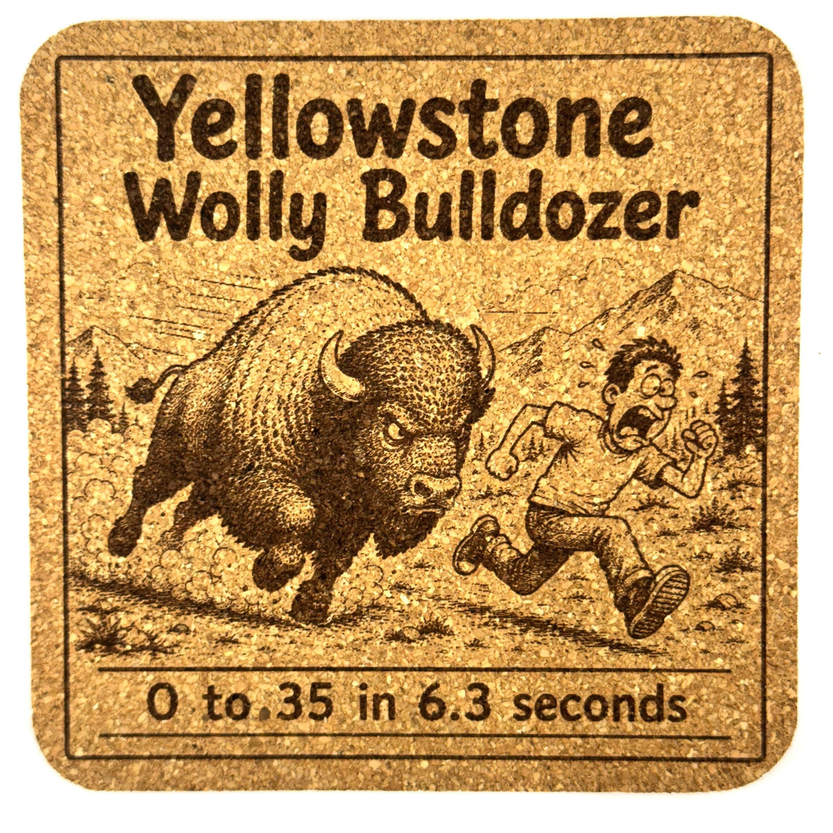 Funny Yellowstone Bison Coaster Set, Cork Buffalo Tourist Humor