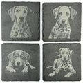 Dalmatian Dog Slate Coaster Set, Engraved Dog Lover Gift