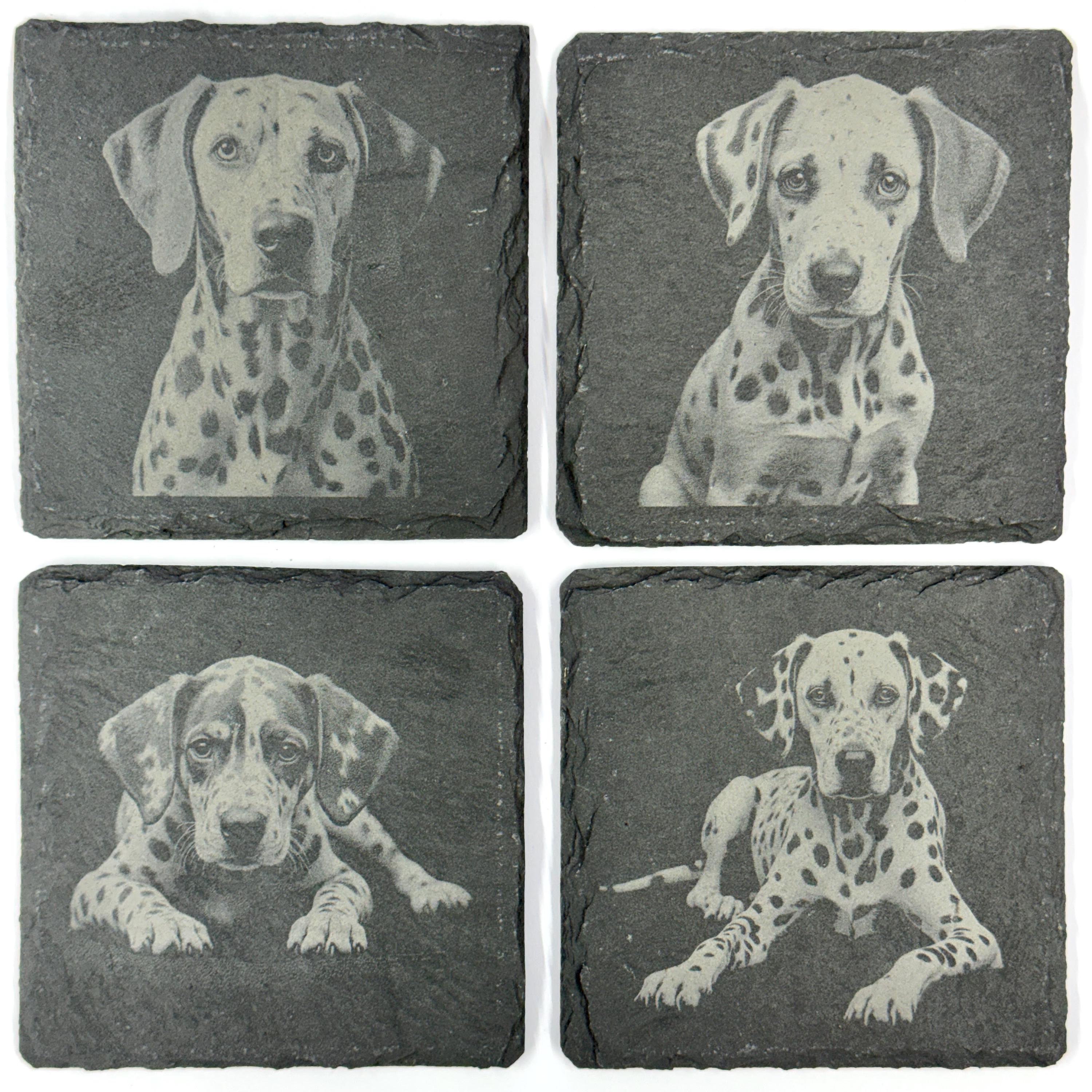 Dalmatian Dog Slate Coaster Set, Engraved Dog Lover Gift