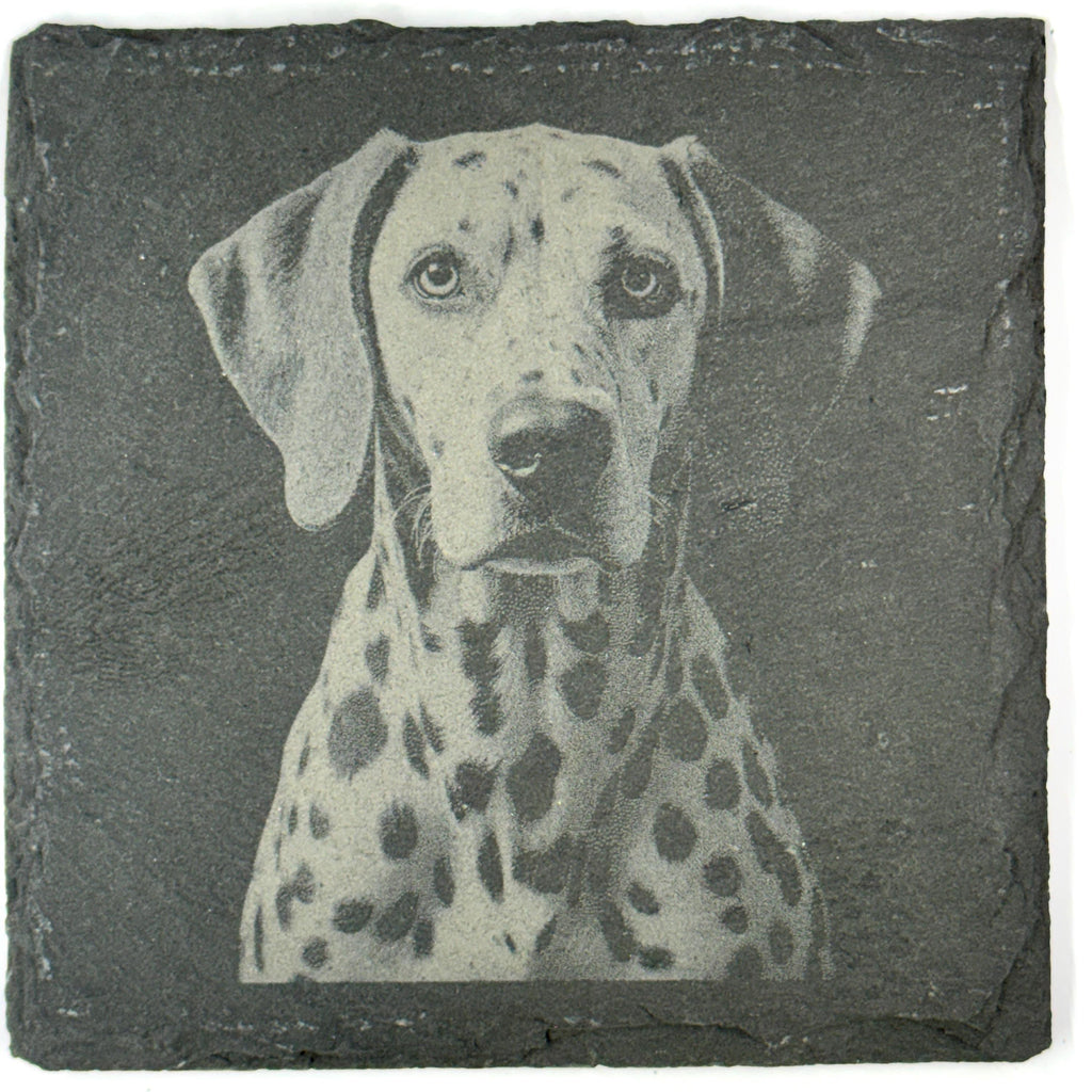 Dalmatian Dog Slate Coaster Set, Engraved Dog Lover Gift