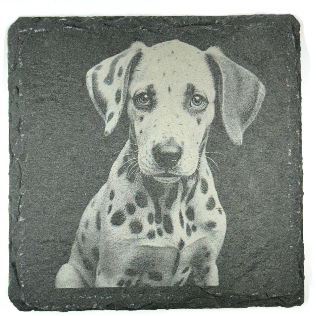 Dalmatian Dog Slate Coaster Set, Engraved Dog Lover Gift