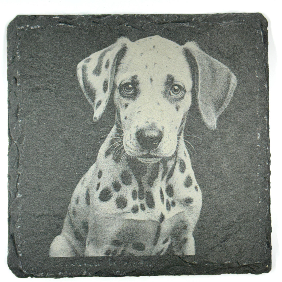 Dalmatian Dog Slate Coaster Set, Engraved Dog Lover Gift