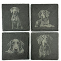 Bluetick Coonhound Slate Coaster Set, Engraved Dog Lover Gift
