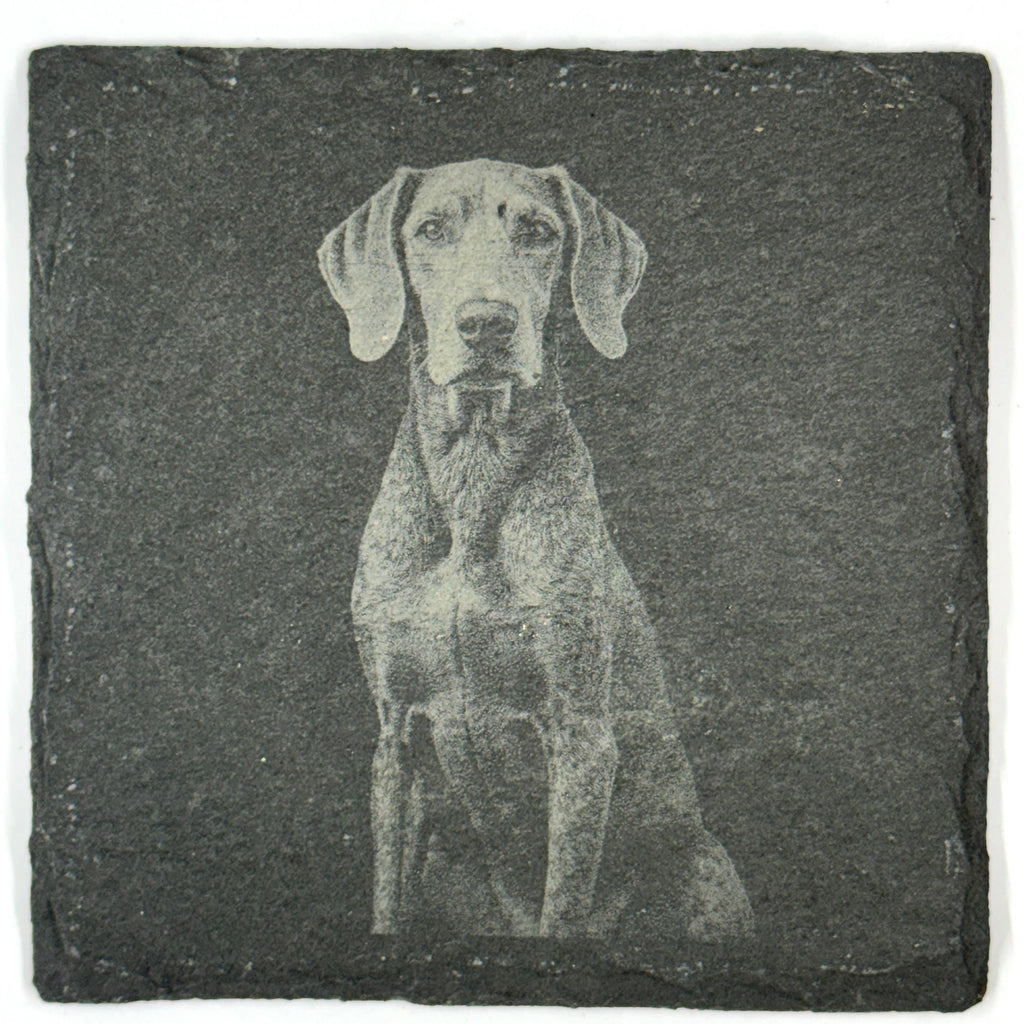 Bluetick Coonhound Slate Coaster Set, Engraved Dog Lover Gift