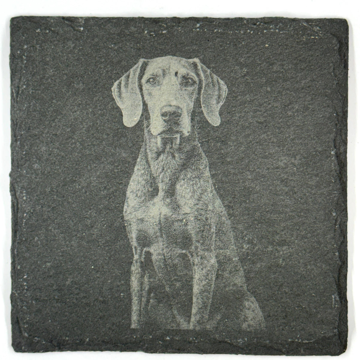 Bluetick Coonhound Slate Coaster Set, Engraved Dog Lover Gift