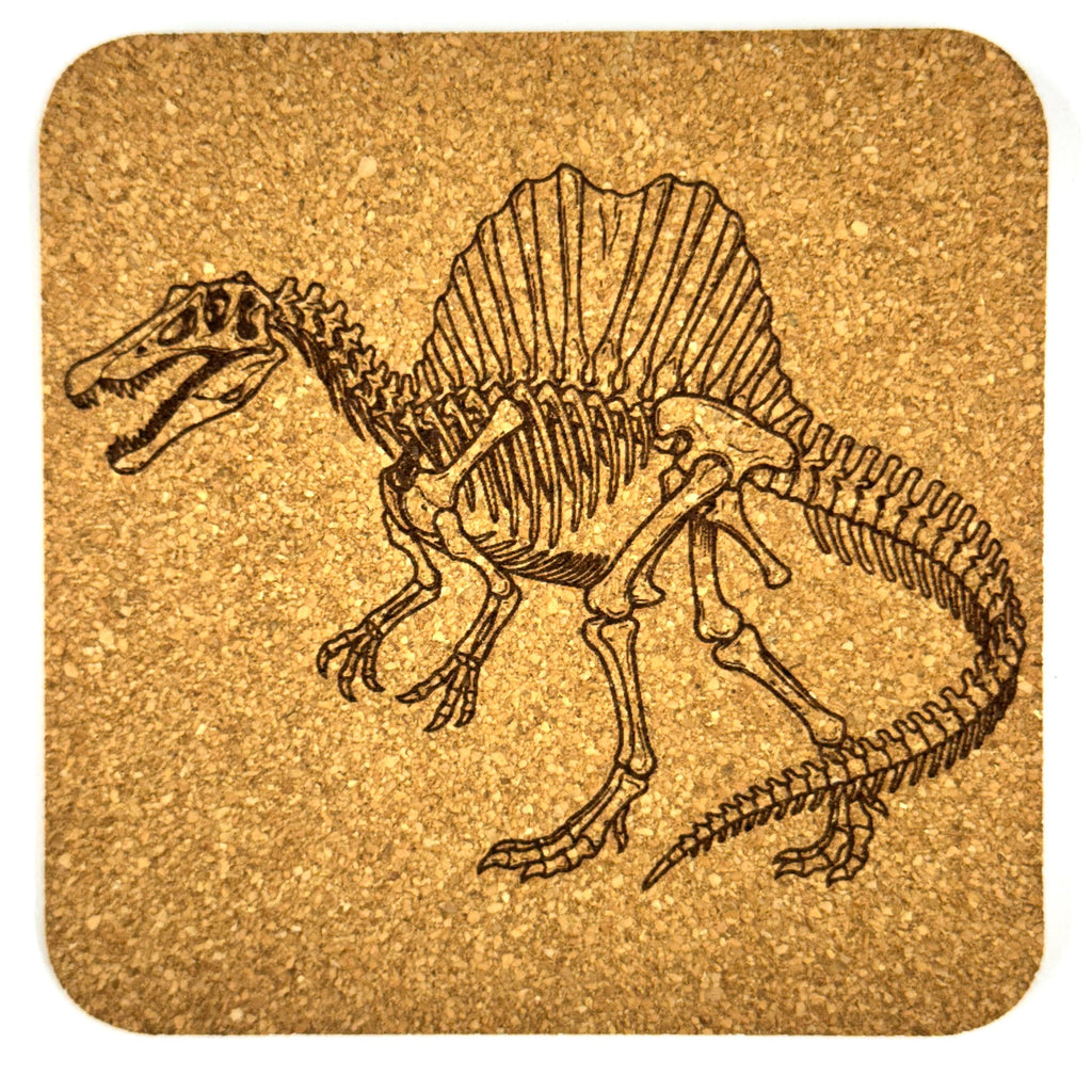 Dinosaur Skeleton Cork Coasters, Fossil T Rex Spinosaurus Triceratops Table Decor