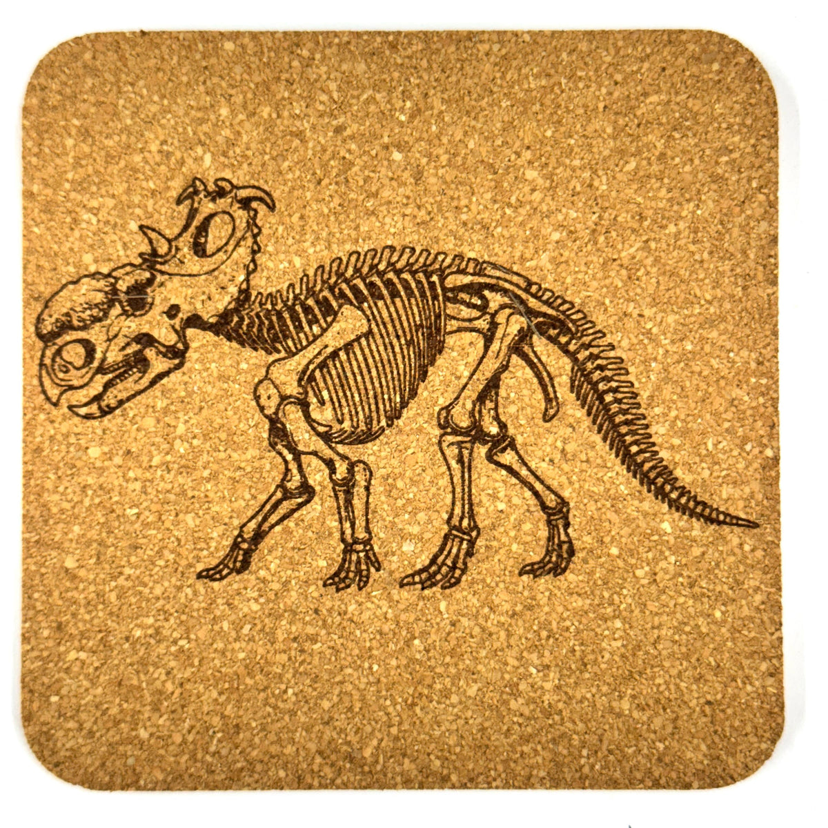 Dinosaur Skeleton Cork Coasters, Fossil T Rex Spinosaurus Triceratops Table Decor