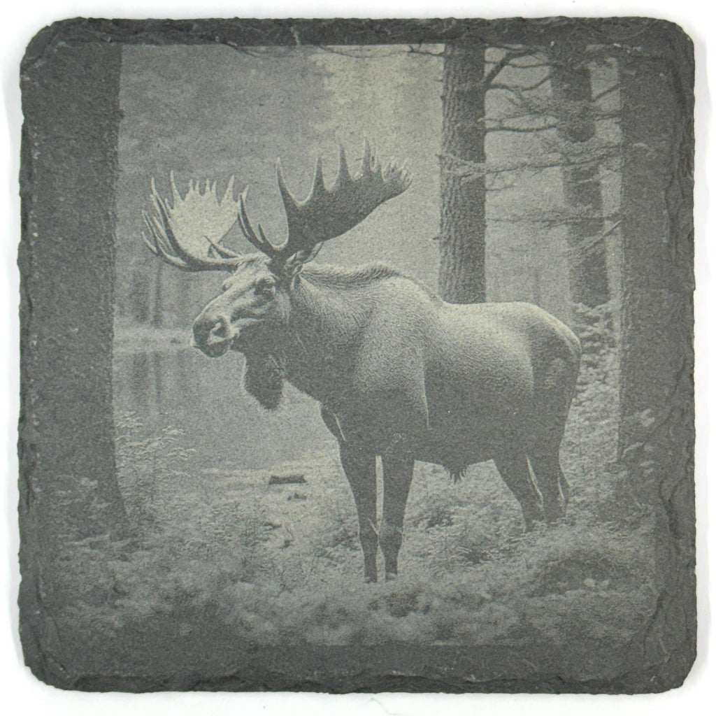 Moose Slate Coaster Set, 4 Pack of Rustic Wildlife Engraved Stone Coasters